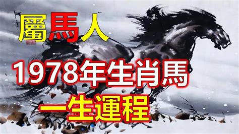 1978年屬馬運勢|屬馬人必看：1978命格